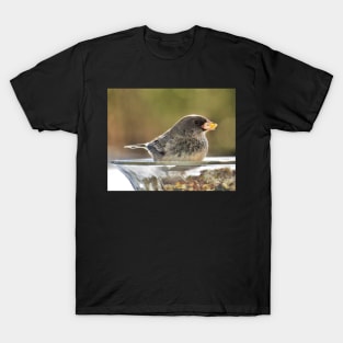 Seeds to Savour No.2 - Dark-Eyed Junco T-Shirt